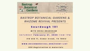 Sourdough 101 Make & Take