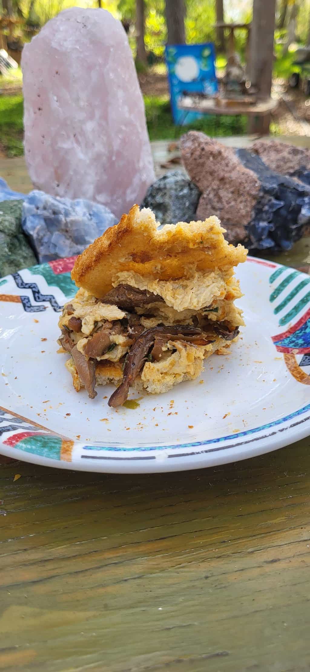 Hummus and Mushroom Sandwich Bastrop Botanical Gardens